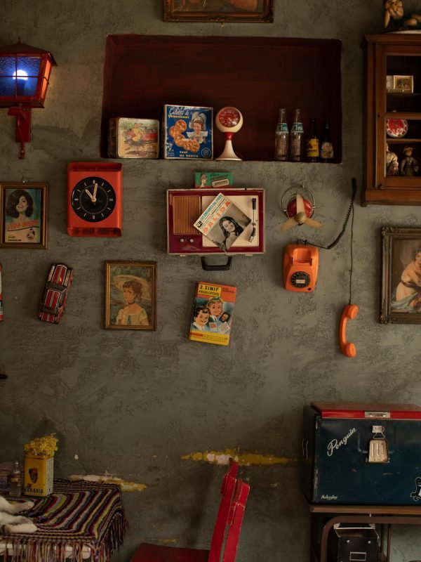 pexels-lokmansevim-15197038 pexels-lokmansevim-15197038