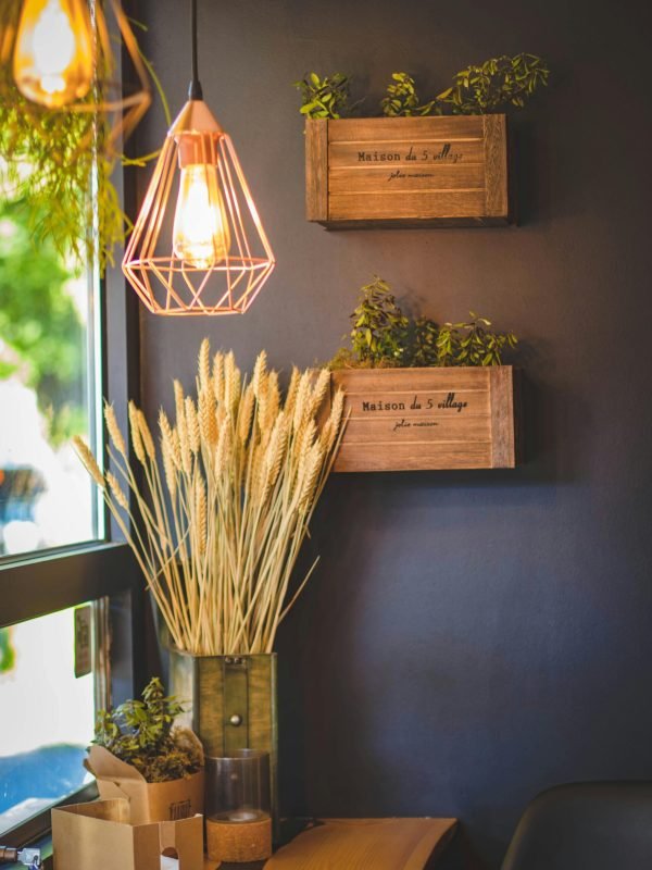 pexels-valeriya-1129413 pexels-valeriya-1129413